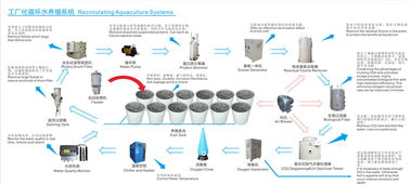詳解工廠化循環(huán)水養(yǎng)殖系統(tǒng)與計(jì)算機(jī)系統(tǒng)服務(wù)的融合
